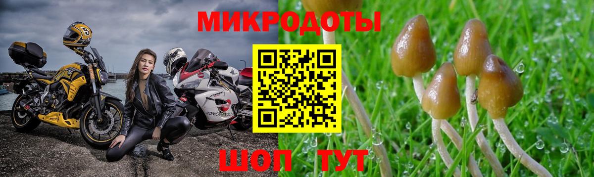 Псилоцибиновые грибы MAGIC MUSHROOMS Зерноград